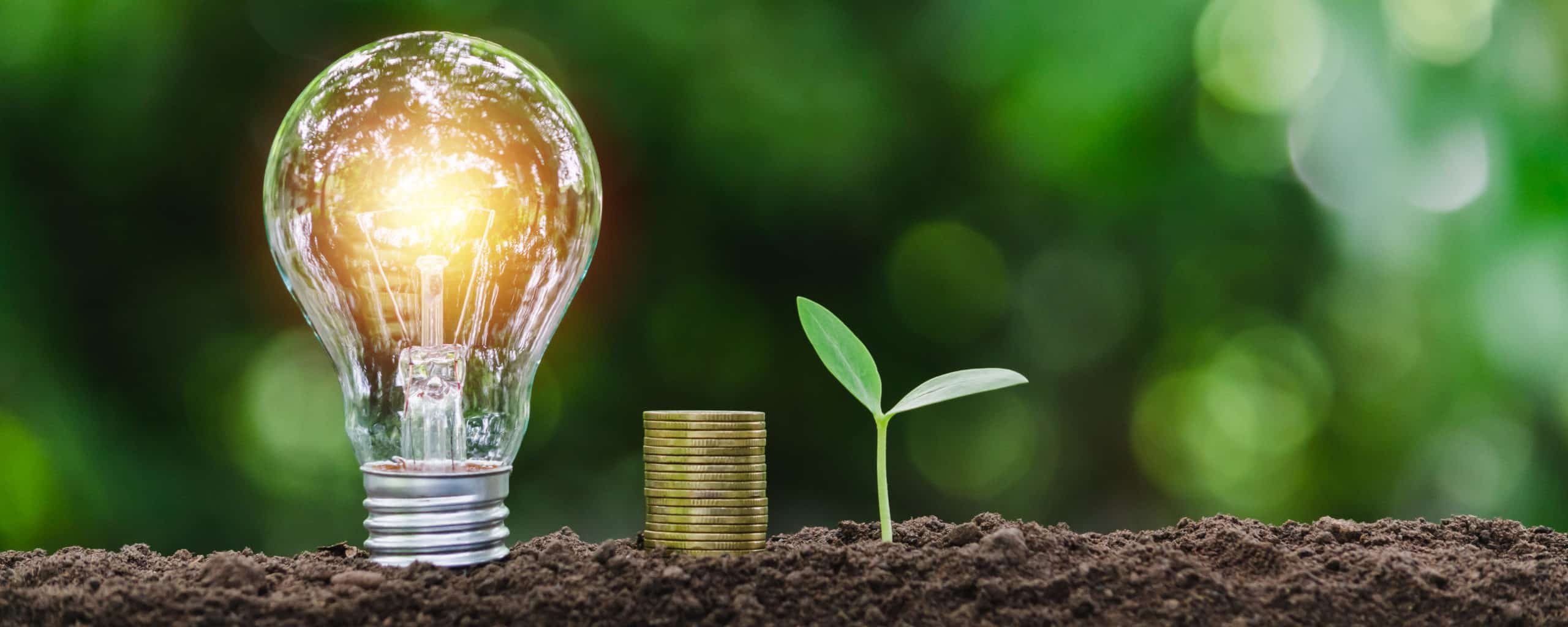 Sustentabilidade empresarial: 5 ideias para aplicar no seu negócio | MR Soluções Ambientais